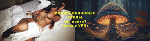 мяу мяу мука Ельня